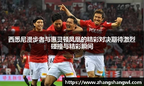 西悉尼漫步者与惠灵顿凤凰的精彩对决期待激烈碰撞与精彩瞬间